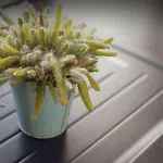 Entre Montagne Et - Vue 제라르메르