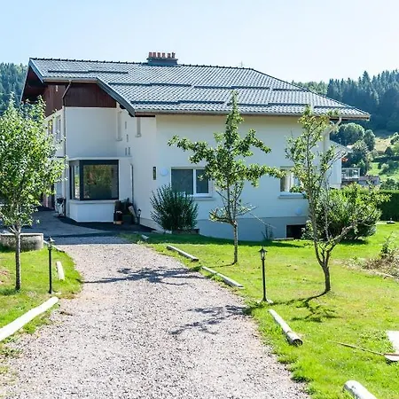 Entre Montagne Et Apartment Gerardmer